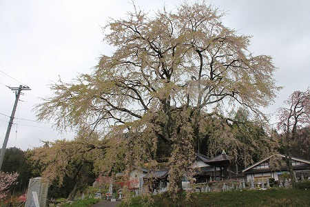 0425宝蔵寺.jpg