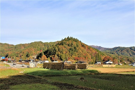 181031maruhata.jpg