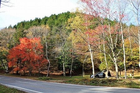 181031sirakaba1.jpg
