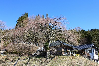 190416kannon.jpg