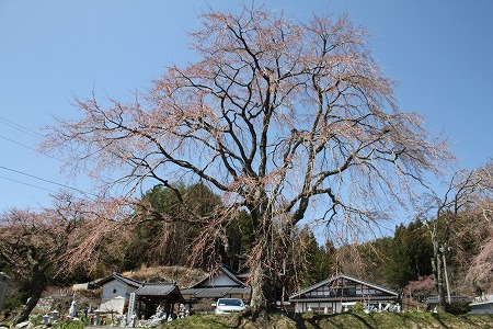 410宝蔵寺.jpg