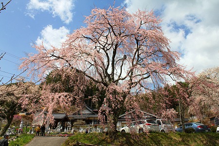 416宝蔵寺.jpg