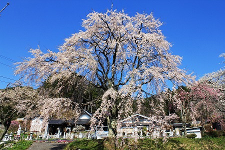 420宝蔵寺.jpg